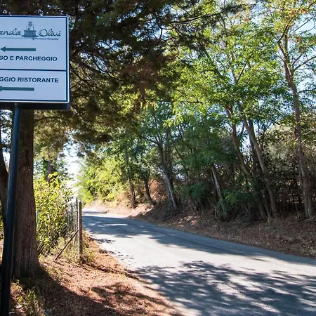 Olivi Affitta Gæstehus Senigallia